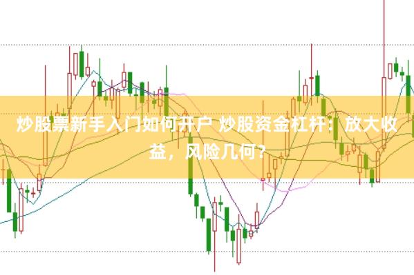 炒股票新手入门如何开户 炒股资金杠杆:放大收益,风险几何?