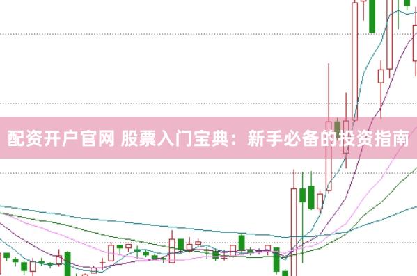 配资开户官网 股票入门宝典：新手必备的投资指南