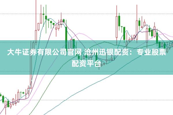 大牛证券有限公司官网 沧州迅银配资：专业股票配资平台