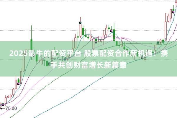 2025最牛的配资平台 股票配资合作新机遇：携手共创财富增长新篇章